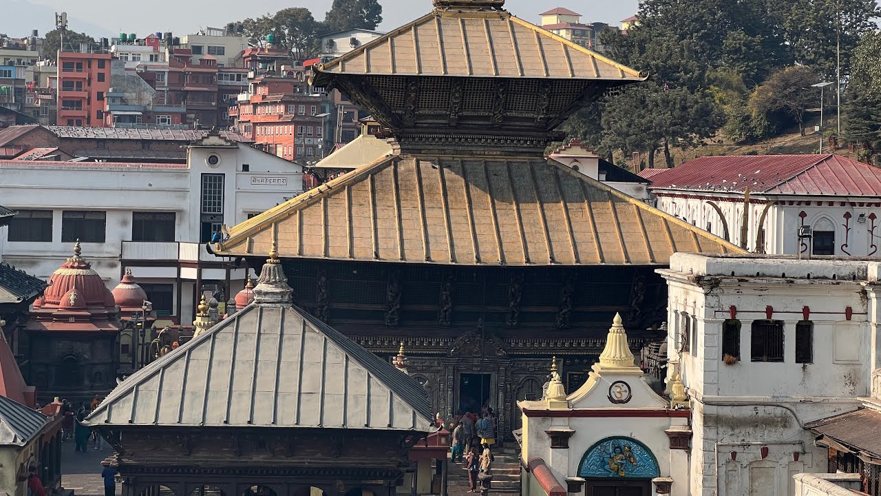 पशुपतिनाथ र गुजेश्वरीको दर्शन गर्नुहोस्  || Visit Pashupatinath and Gujeswari  #vlog #foryou 