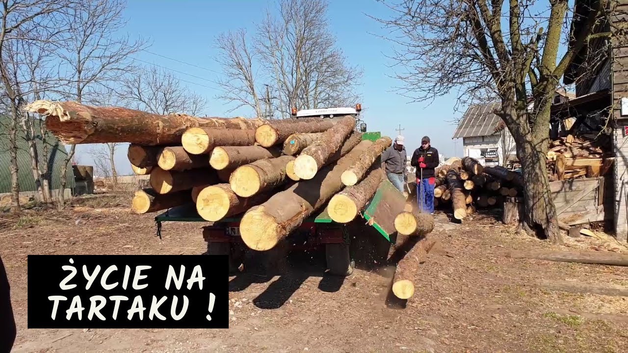 Cięcie drewna ? drzewa ? Na tartaku z 1953 roku. Mamy baliki na dach kurnika !