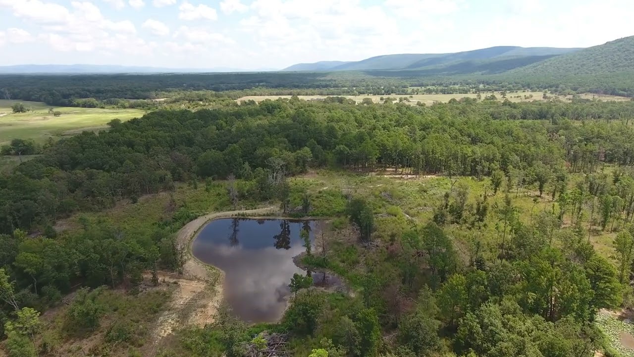 FOR SALE: Kiamichi Mountain 80 Acres Near Talihina, Oklahoma