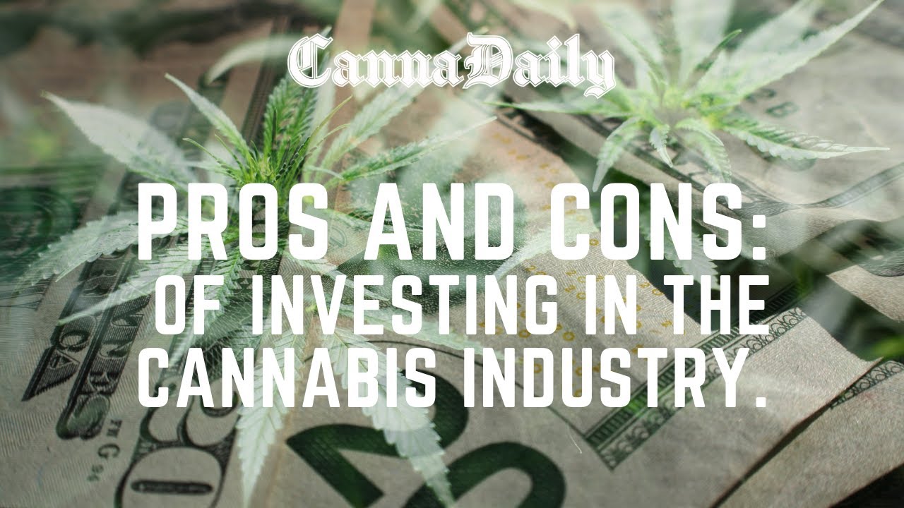 INVESTING IN THE CANNABIS INDUSTRY : PROS AND CONS.