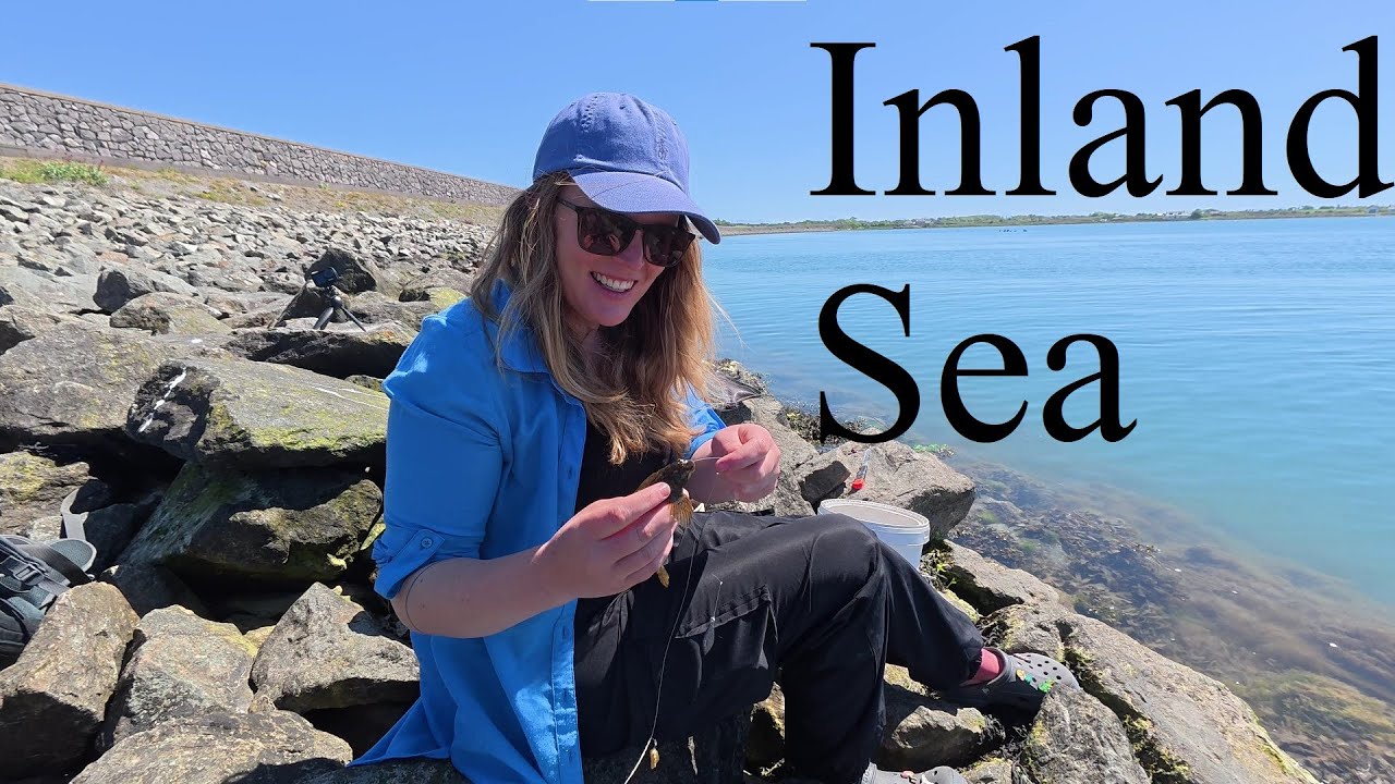 Inland Sea Species Hunt - Anglesey