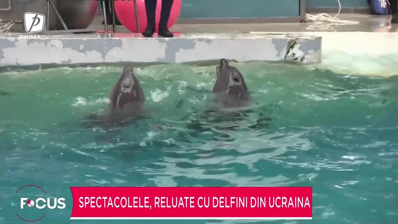 Delfinariul din Constanța, închis
