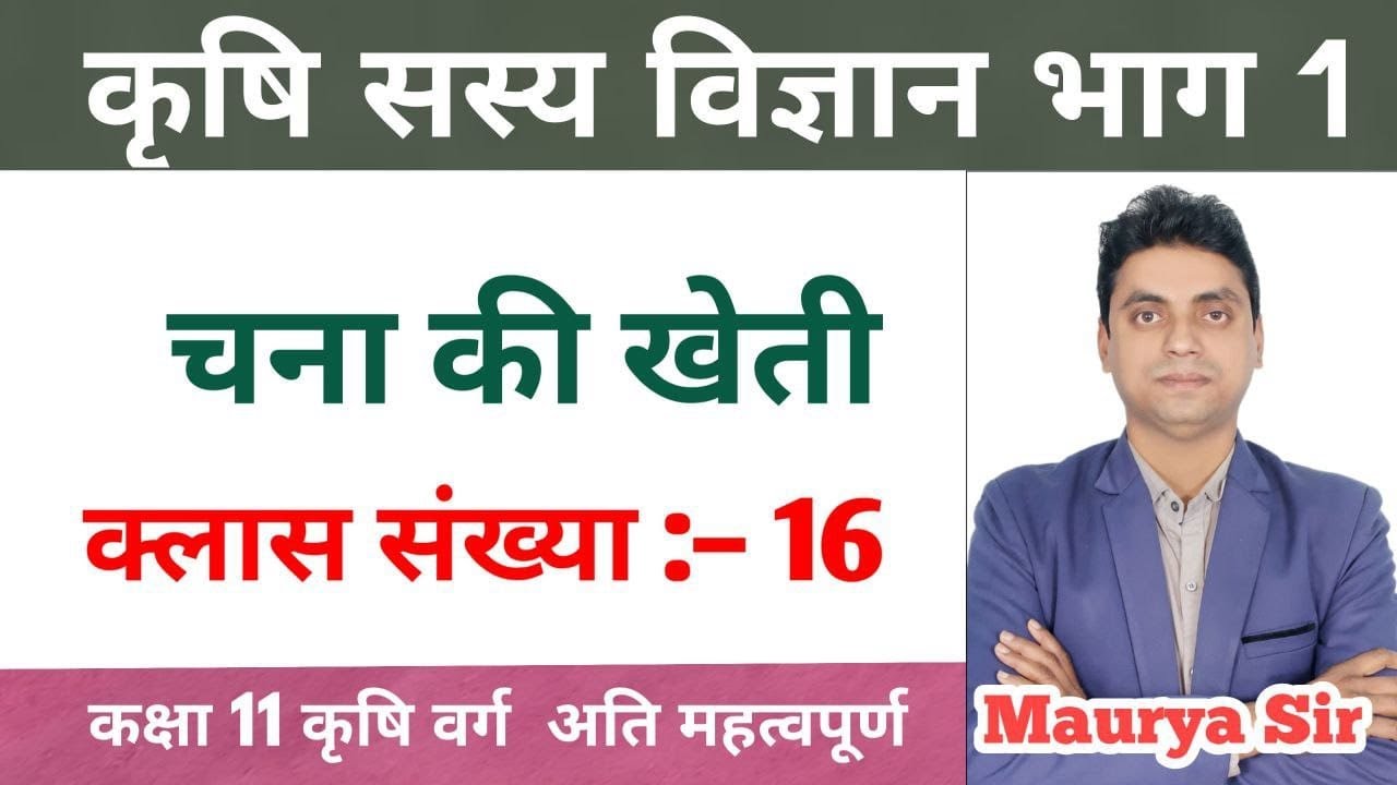 #कक्षा 11कृषि सस्य विज्ञान भाग-1/#चना की खेती/#Class 11th Agriculture/#कृषि सस्य विज्ञान भाग -1 