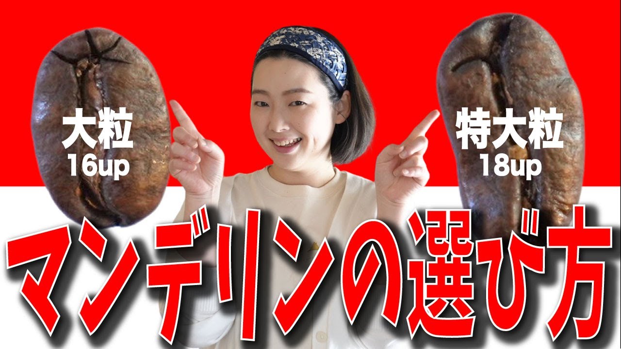 【究極のマンデリン】豆の大きさでコーヒーの味は変わるのか？大粒と特大粒で比較してみた