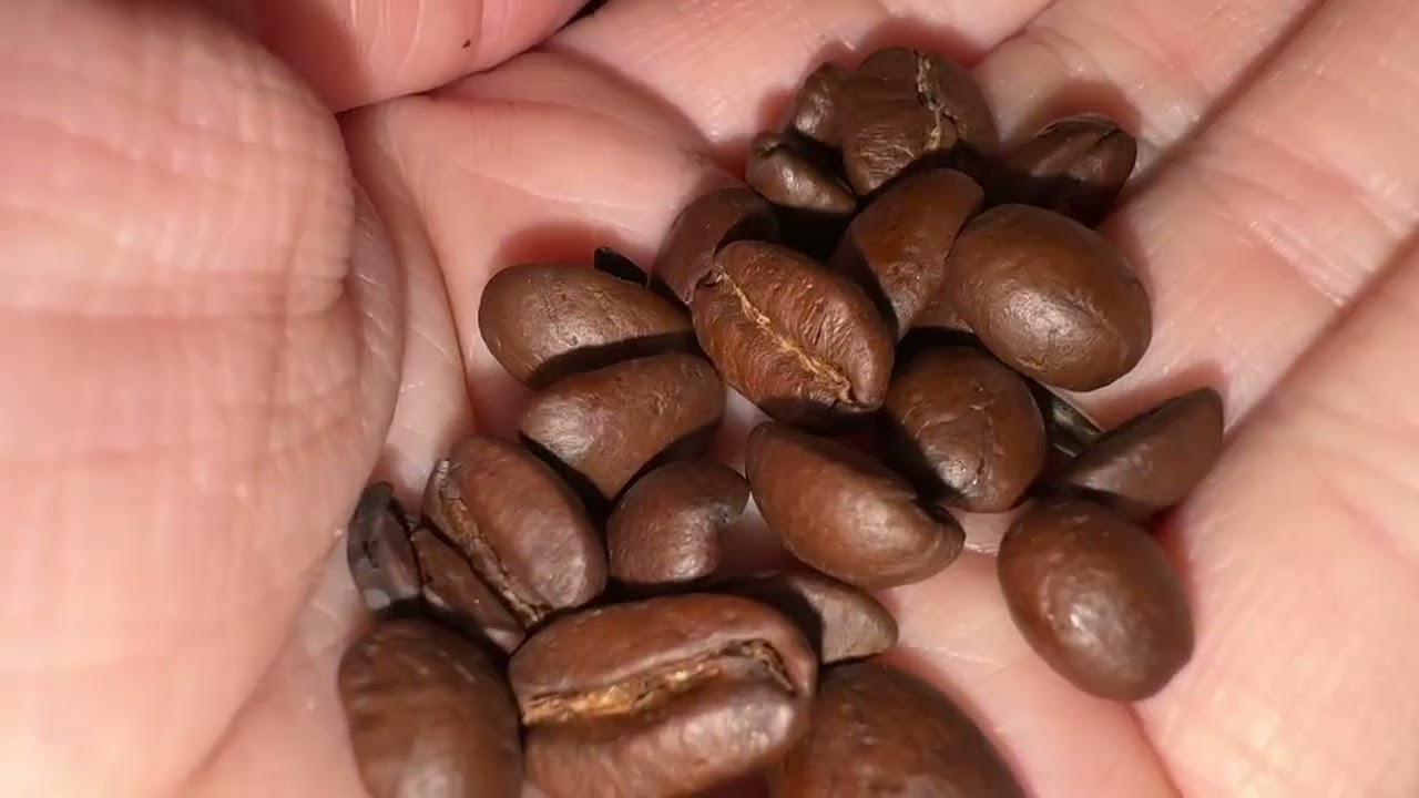 Mt. Comfort Coffee Peru Medium Roast Flavor Notes of Nutty, Chocolate, & Citrus Honest Review