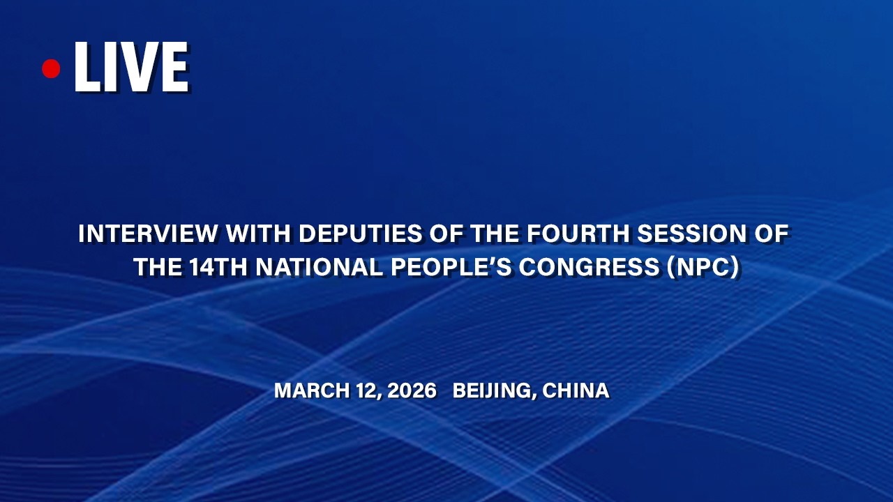 LIVE: Interview with Deputies of the 4th Session of the 14th National People’s Congress (NPC)