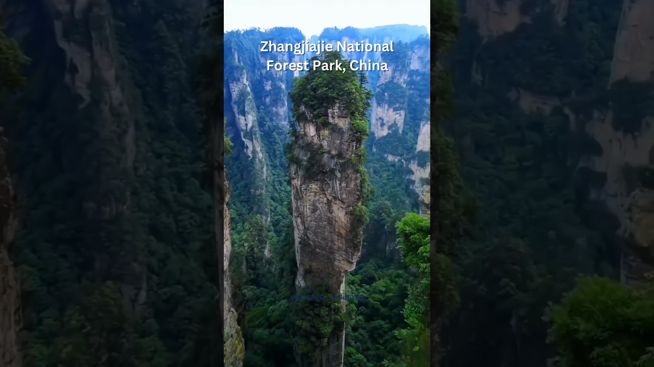 📍Zhangjiajie National Forest Park, China #zhangjiajie #chinaforest #unrealplaces