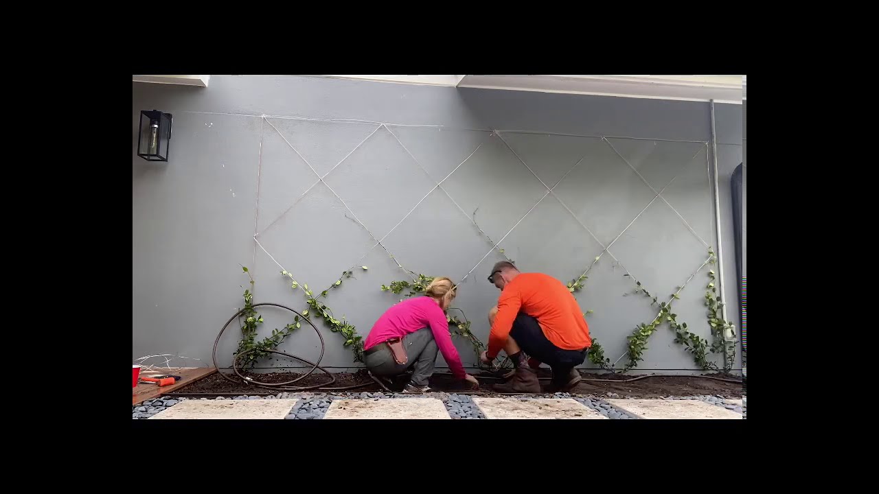 HOW TO BUILD A LIVING PLANT WALL 💎