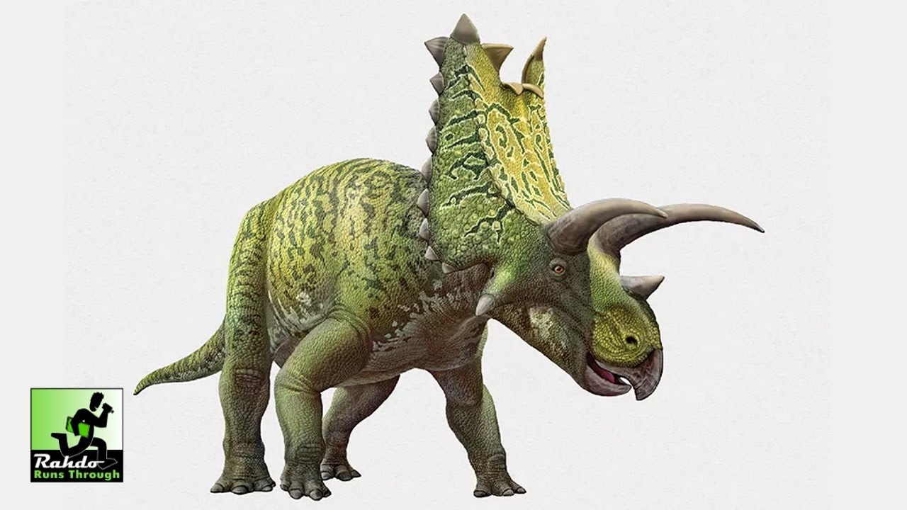 Holotype: Mesozoic North America | Rahdo Runthrough by Kimberly