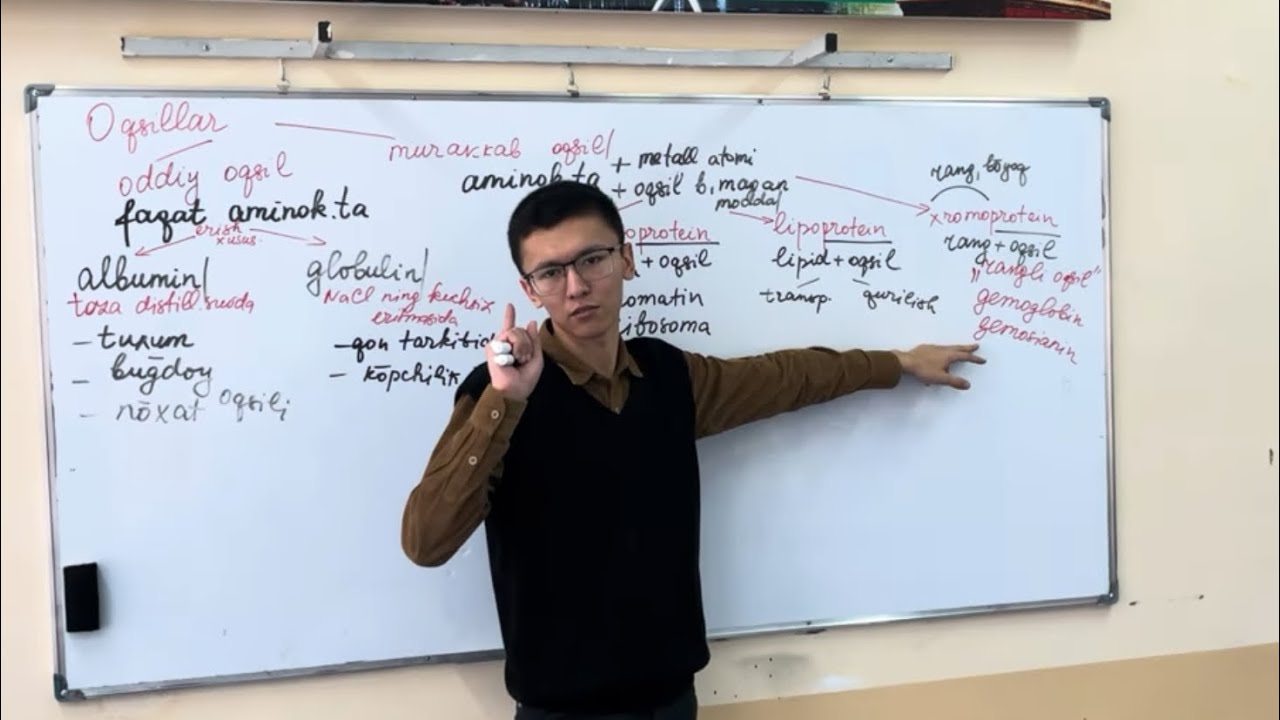 9-sinf. Oqsillar. Oddiy va murakkab oqsillar