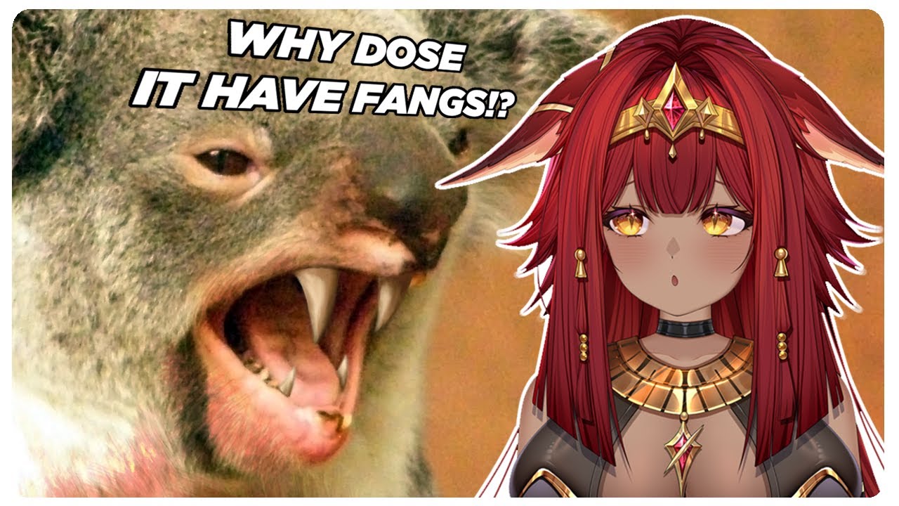 VTuber Reacts to More parz Australia, DROP BEARS!?!!?