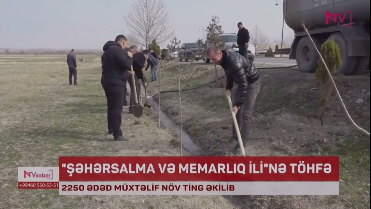 NAYDA “Şəhərsalma və Memarlıq İli” çərçivəsində ağacəkmə aksiyası keçirib