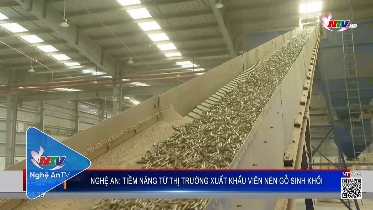 Nghệ An: Tiềm năng từ thị trường xuất khẩu viên nén gỗ sinh khối