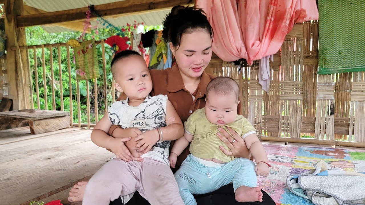 Harvesting chayote to sell - cooking with the kids |Quan Văn trường