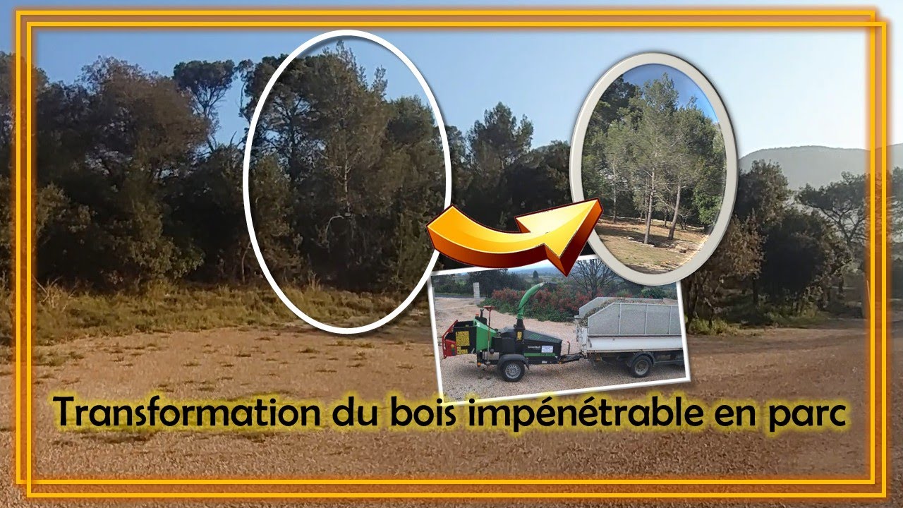 98. Elagage du bois en un parc agréable !