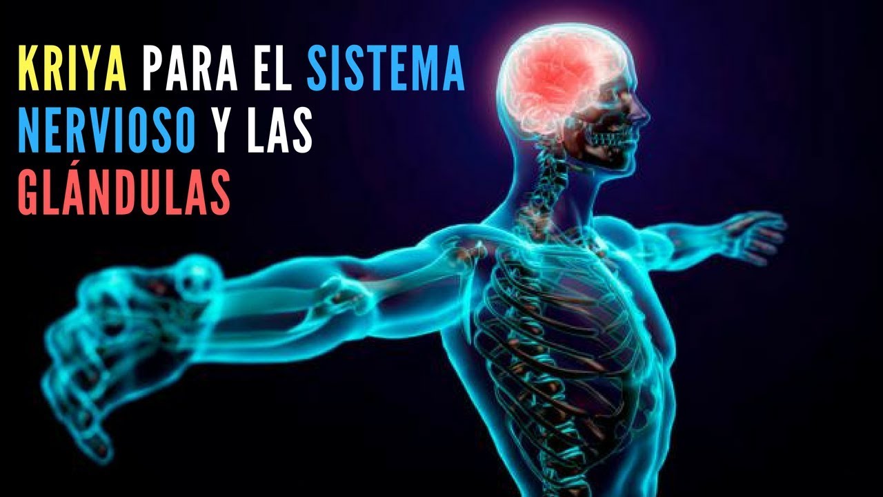 Kriya para el Sistema Nervioso, Balance Glandular y para que respiren los Poros.