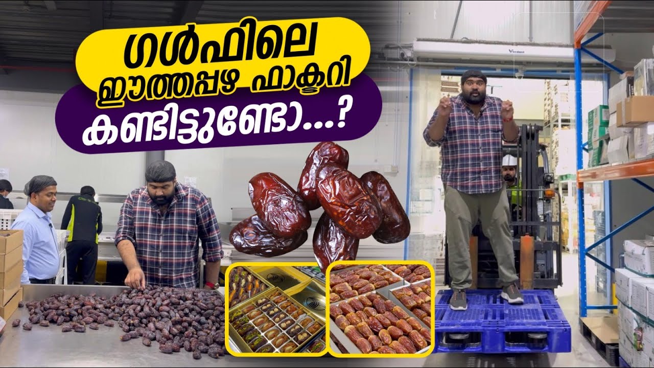 ഈത്തപ്പഴ ഫാക്ടറി കണ്ടിട്ടുണ്ടോ ??? #dates #uae