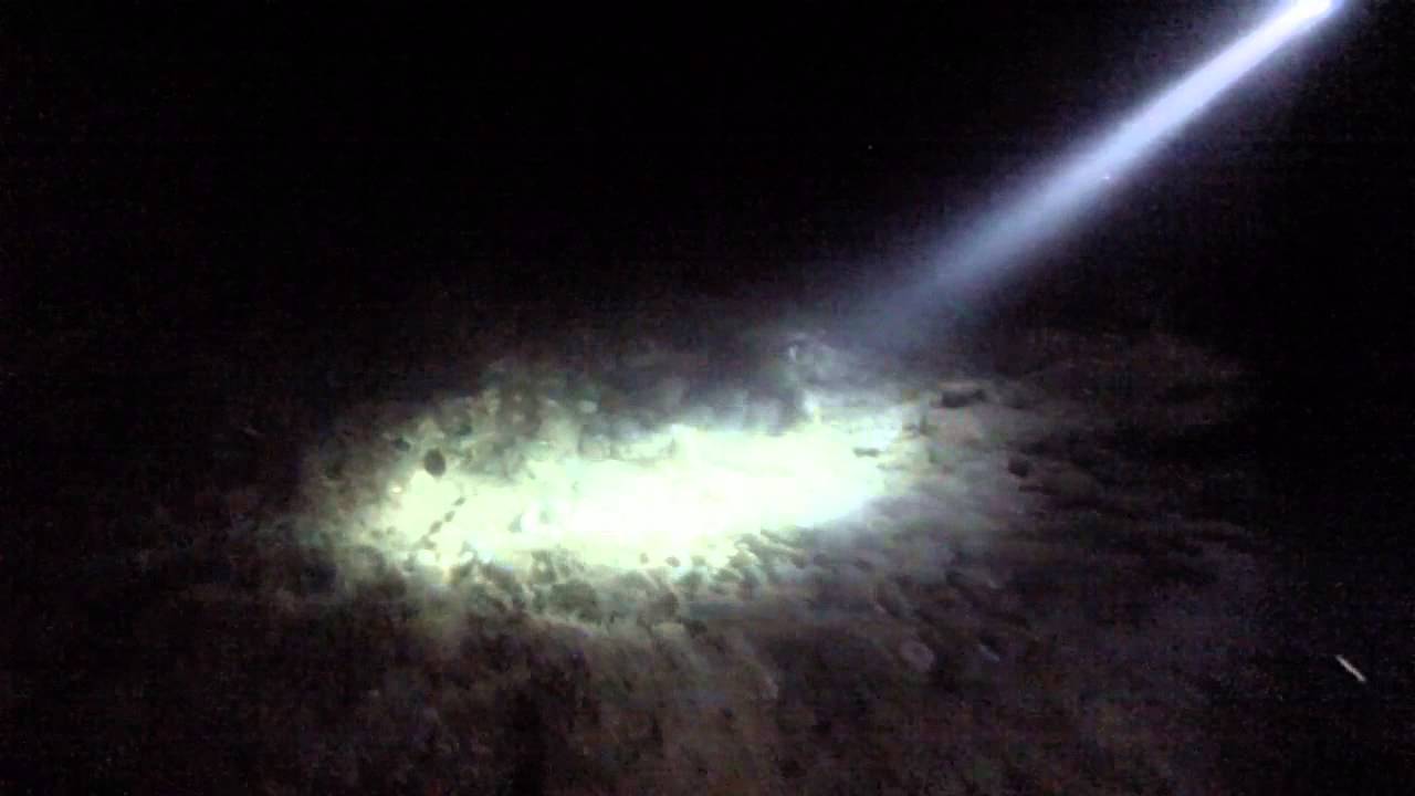 Night dive @ Pefkari