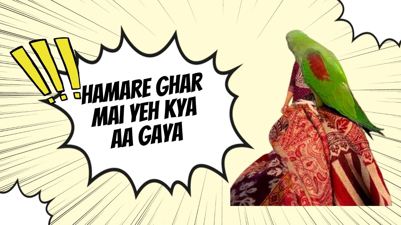 Aaj Subha subha kon aa gaya ghar par hamare