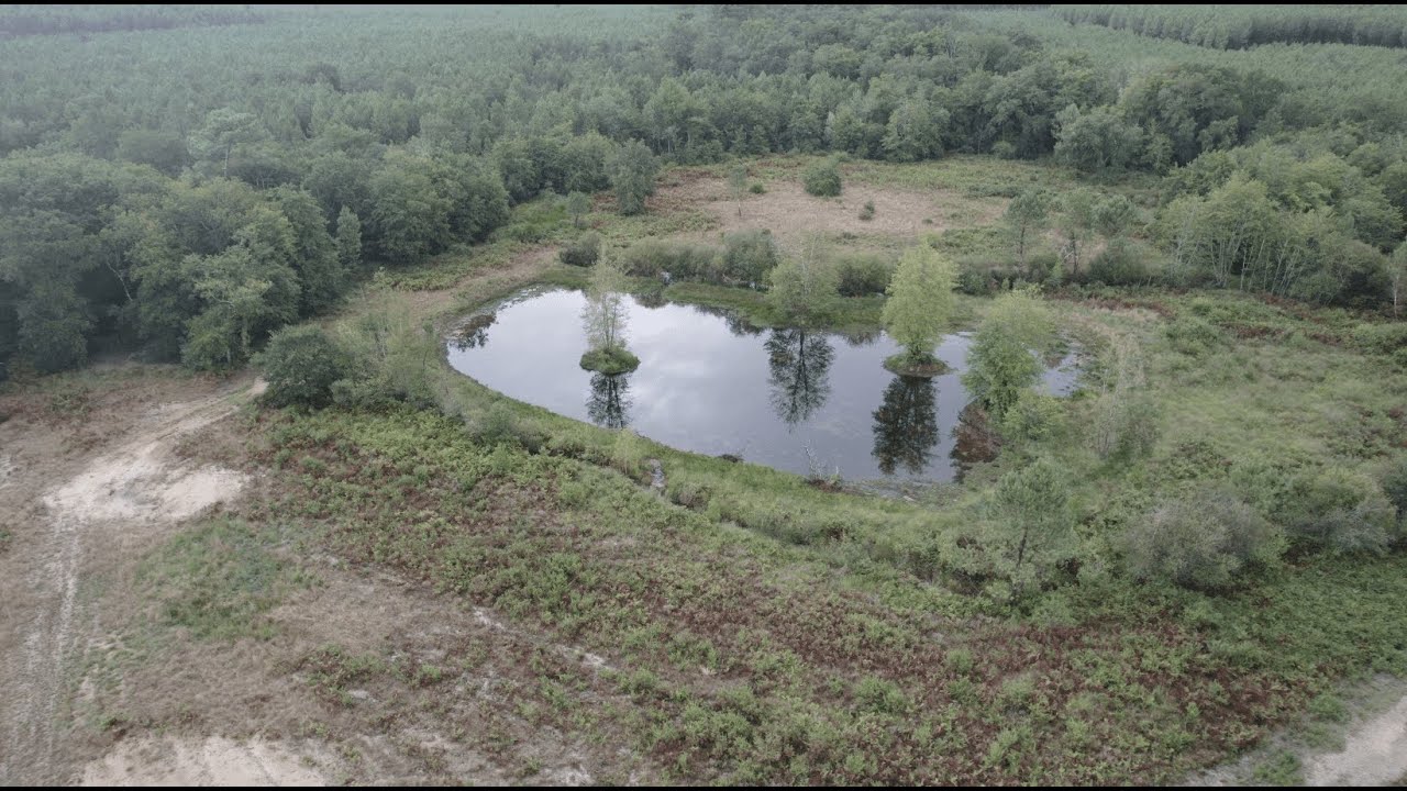 Restauration d'une zone humide sur le bassin versant du Geloux