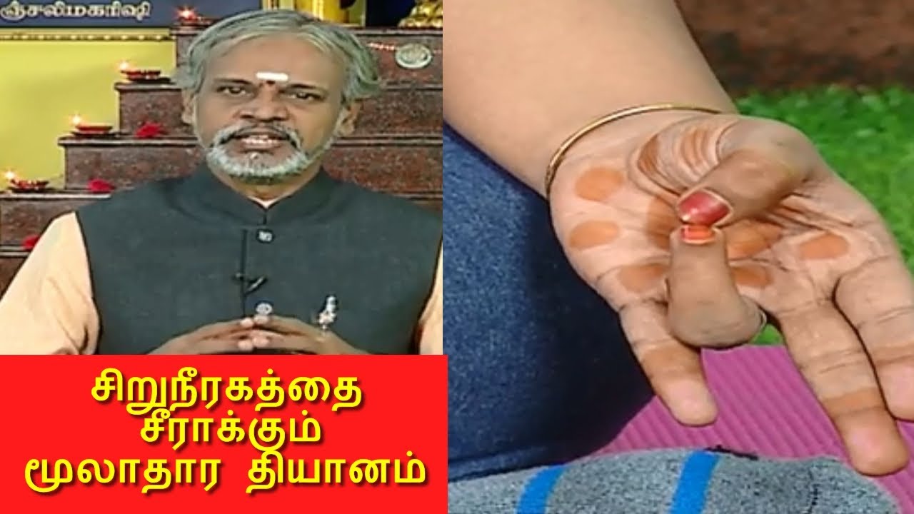 மூலாதார சக்ரா நன்றாக இயங்க எளிமையான முத்திரை I தேகம் சிறக்க யோகம் I MEGA TV
