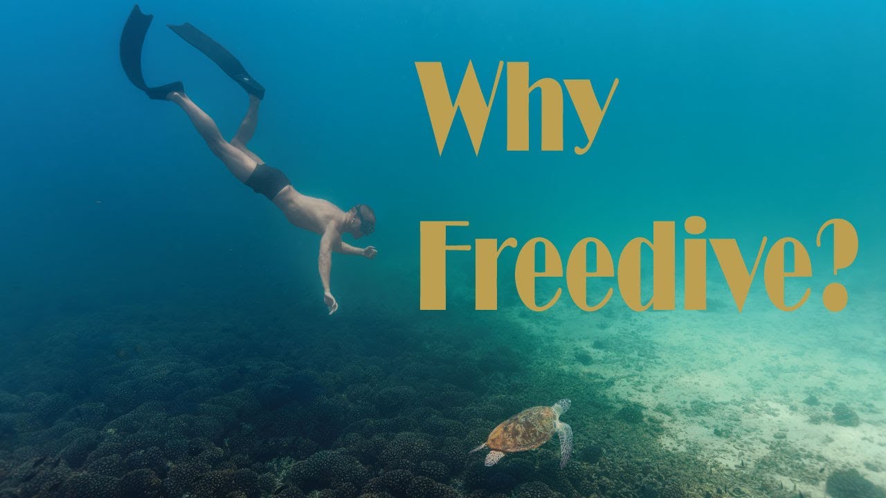 The Depth Wish  Exploring the Heart of Freediving