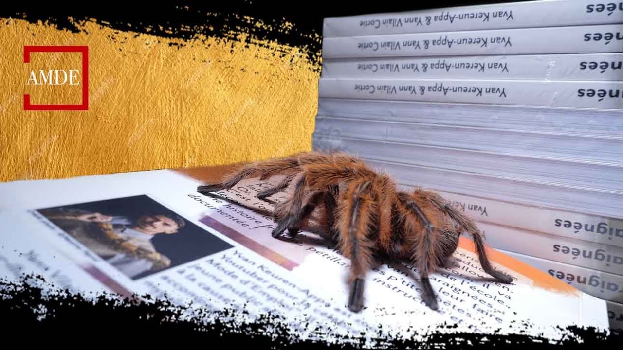 ARAIGNÉE : UN LIVRE POUR TOUT SAVOIR  - AMDE