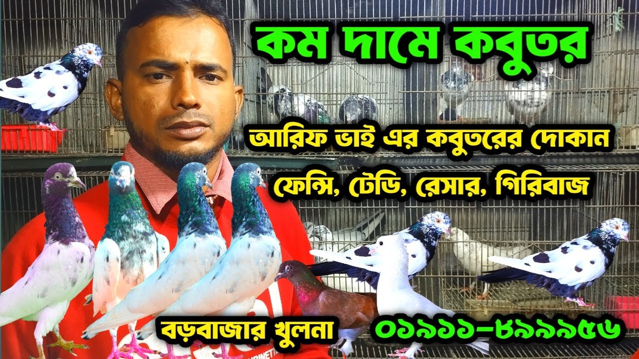 Buy pigeons at low prices from Khulna Big Bazar Pigeon Market. pigeon market in khulna bigbazar.