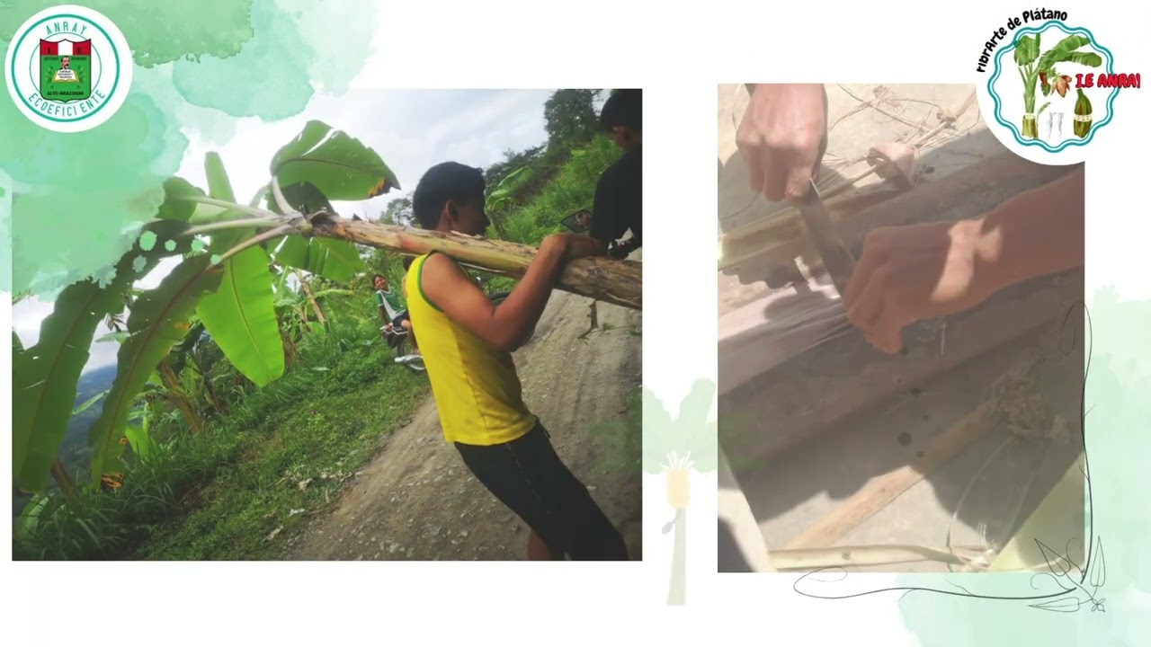 Video FibrArte de Plat&aacute;no