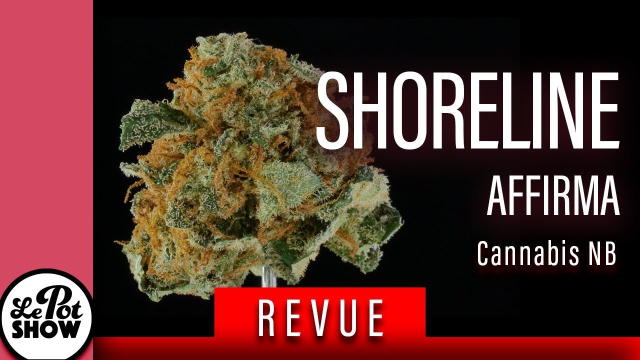 revue cannabis : Shoreline / Affirma - #CannabisNB