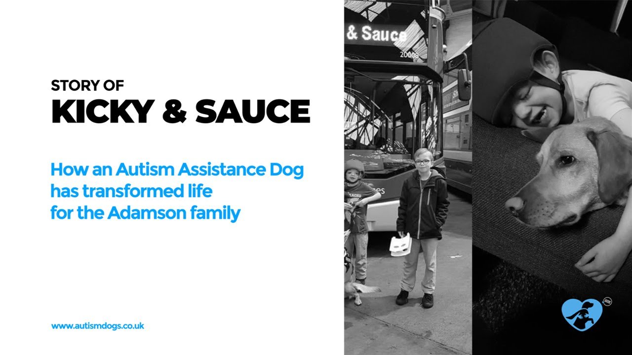 Story of Kicky and Sauce - Autism Dogs CIC
