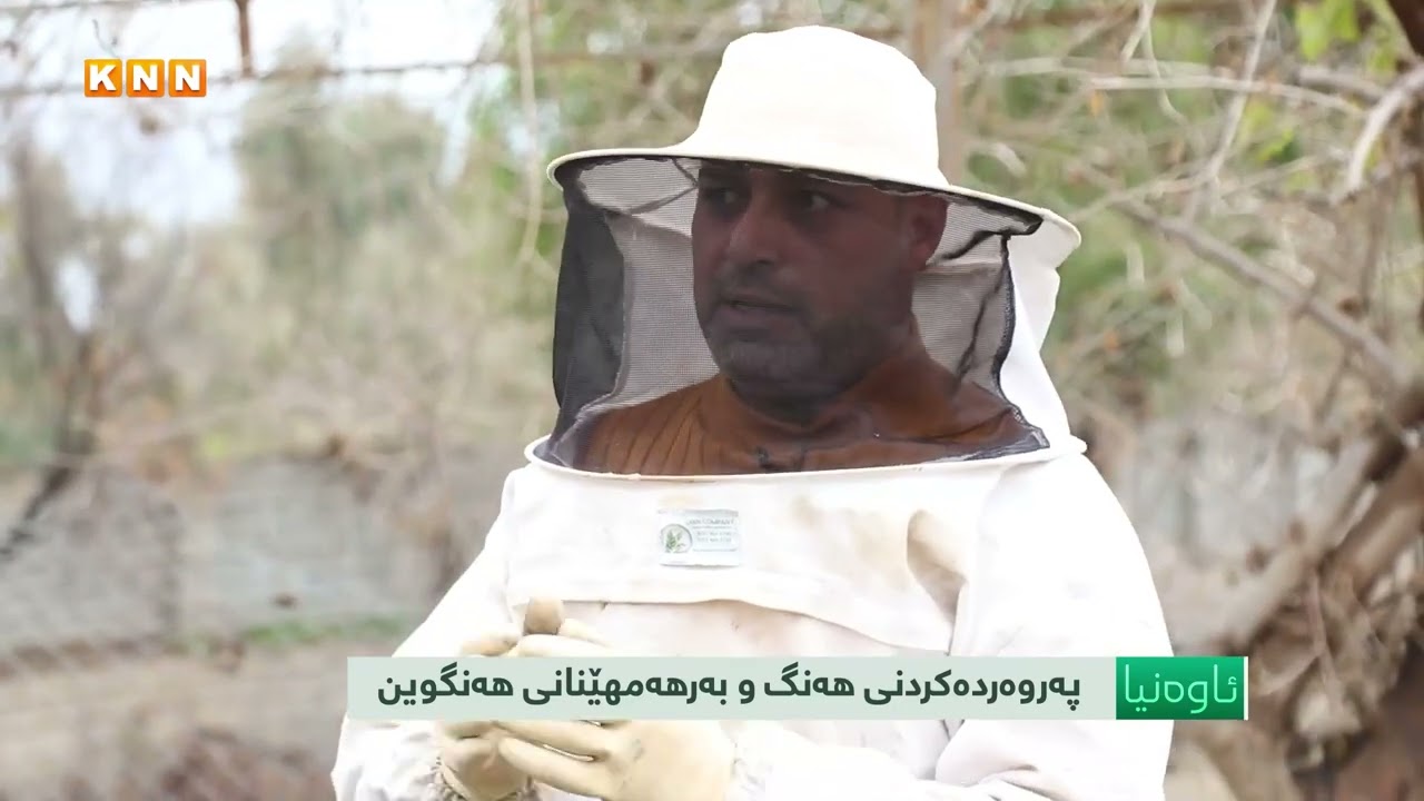 بەخێوکردنی هەنگ و بەرهەمهێنانی هەنگوین