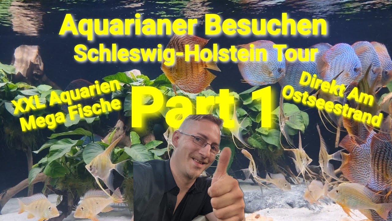 Aquarianer Besuchen PART 1 !! XXL Aquarien + Mega Fische.. Rochen, Diskus, Altum, Kugelfisch !