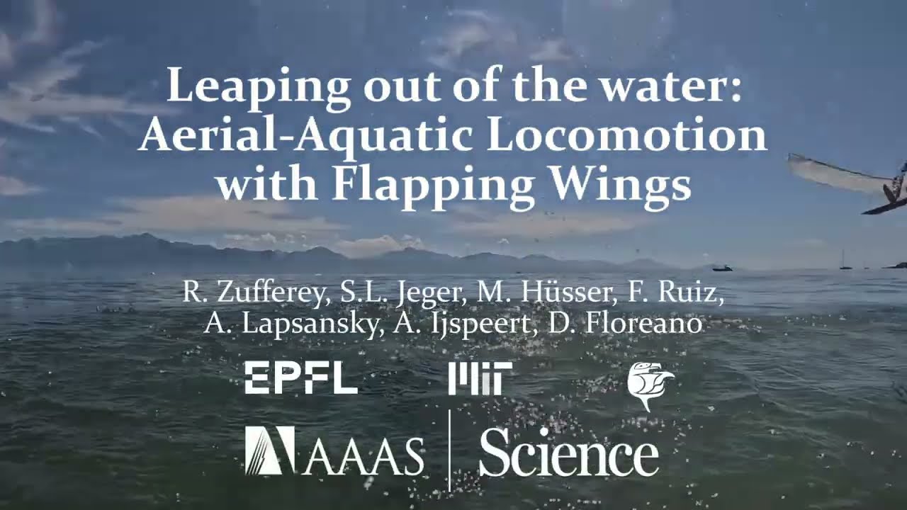 Introducing robots that can swim, fly and transition between water and air!