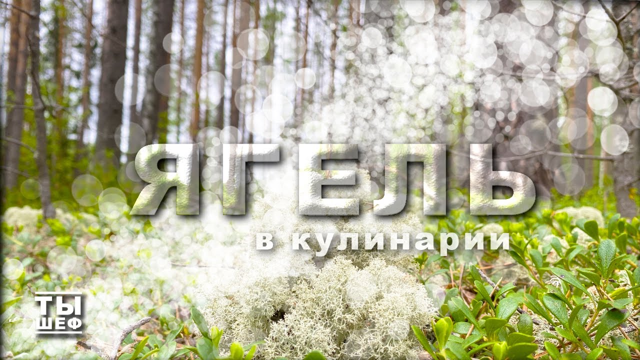 Ягель в кулинарии!
