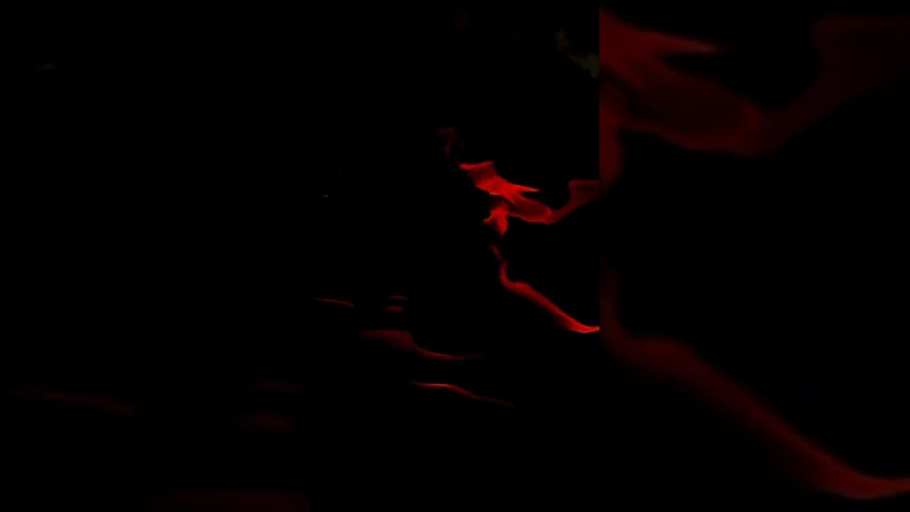 New Red Effect intro