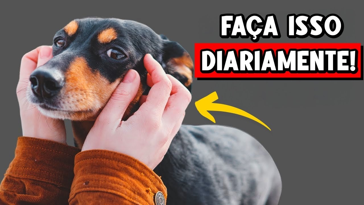 17 Coisas que cachorros MAIS AMAM e talvez você NÃO SAIBA! 🐕🚨