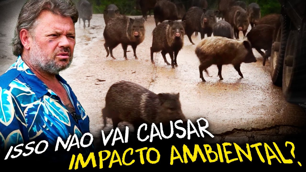 SOLTAMOS QUEIXADAS NA FLORESTA!