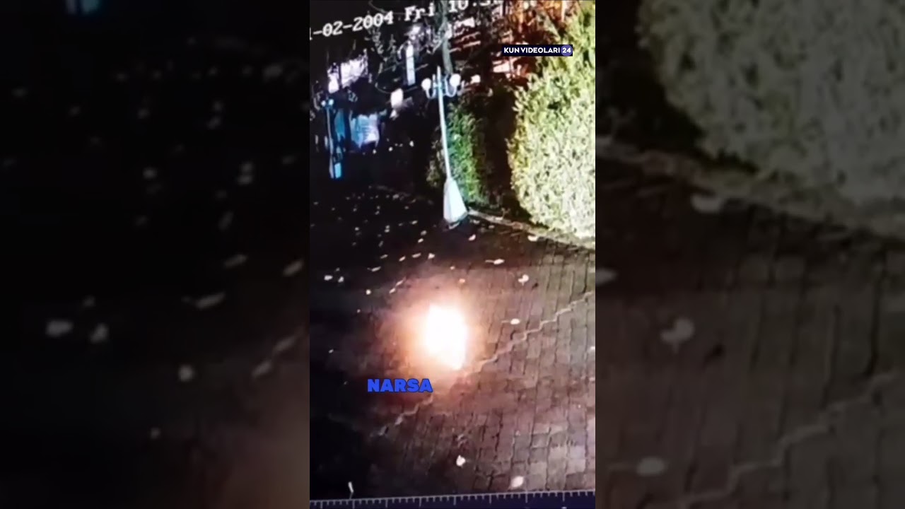 Andijonda eco parkda kameraga tushib qolgan nars shok xabar😱😱