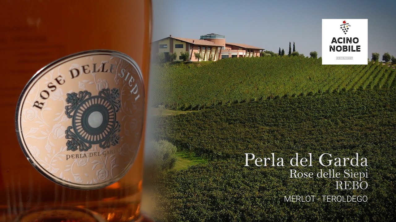 🍇🎁ROSATO DA UVE REBO | PERLA DEL GARDA | ROSE DELLE SIEPI