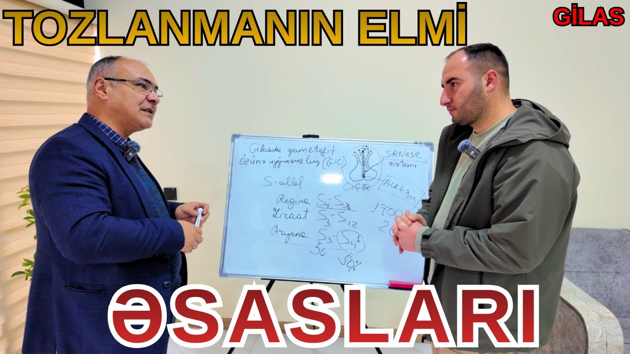 TOZLANMANIN ELMi ƏSASLARI