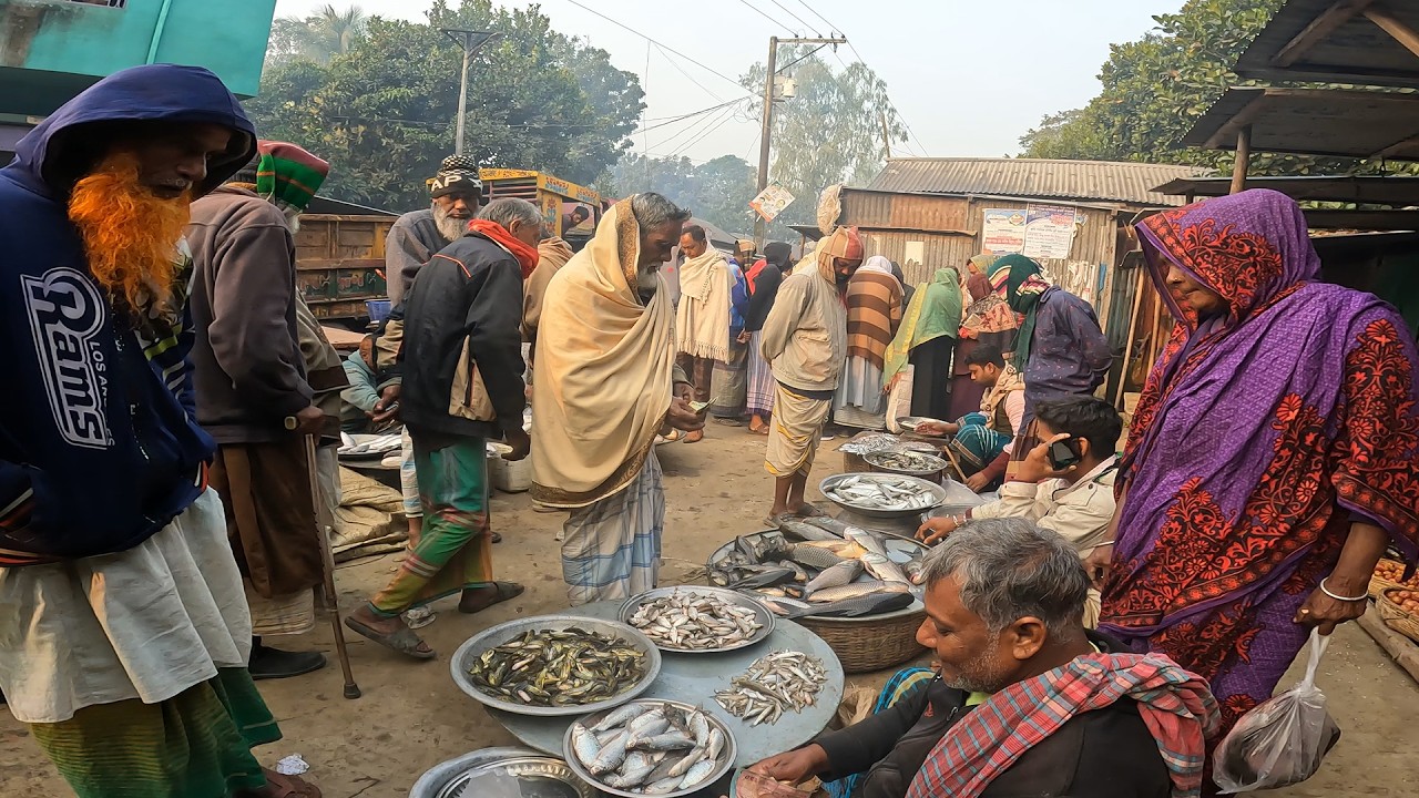 যমুনার পাড়ে নদীর তাজা মাছের ভোর বেলার গ্রামের বাজার। পেঁচাকোলা বাজার। Bangladeshi Village Market