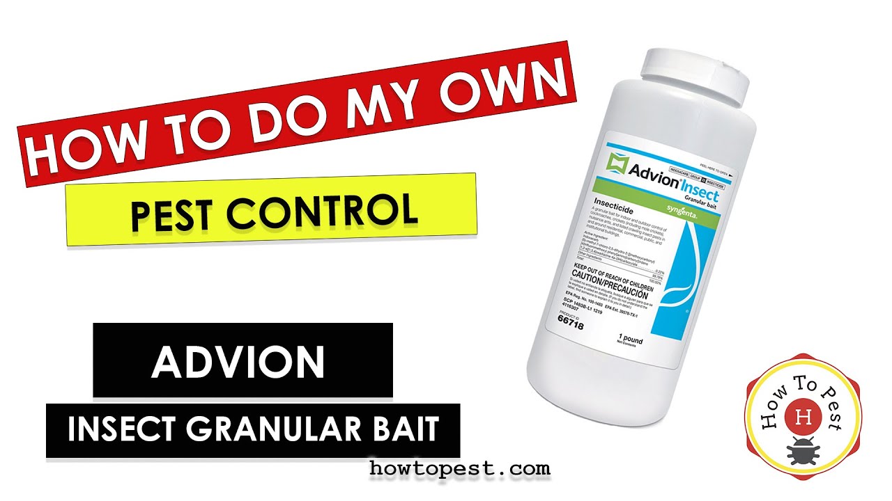 How to Do Your Own Pest Control &ndash; Advion Insect Granular Bait (Syngenta DIY Guide)