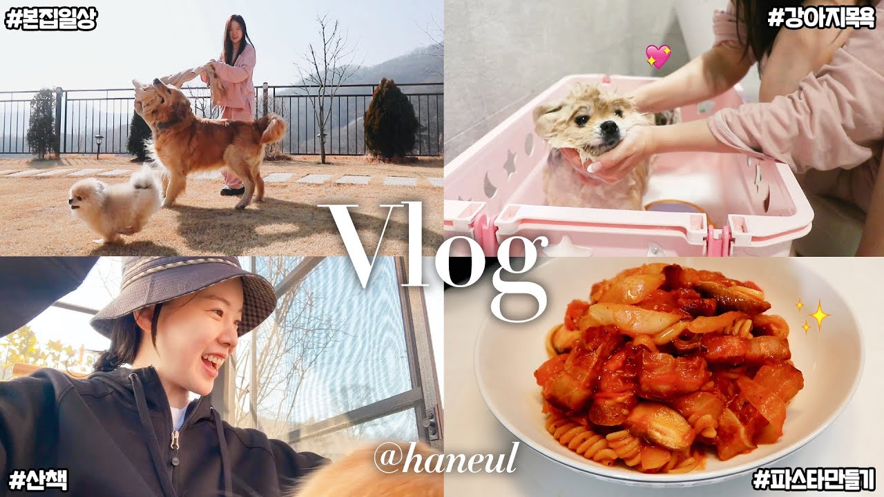 설날에 본집가서 강아지랑 힐링하는 VLOG 🐶 아빠표 파스타, 강아지목욕, 일하는날