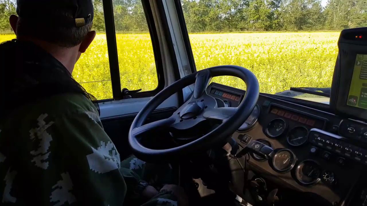 Химическая прополка рапса в Алтайском крае