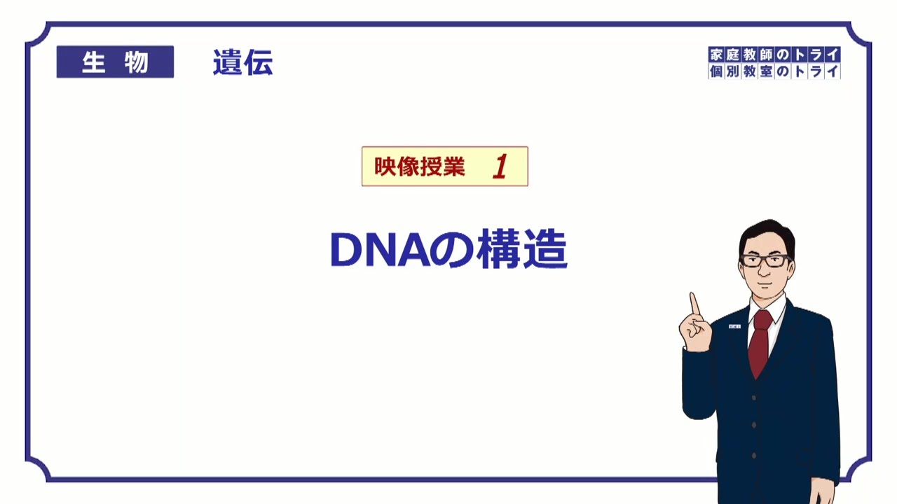 【高校生物】　遺伝1　DNAの構造（１２分）
