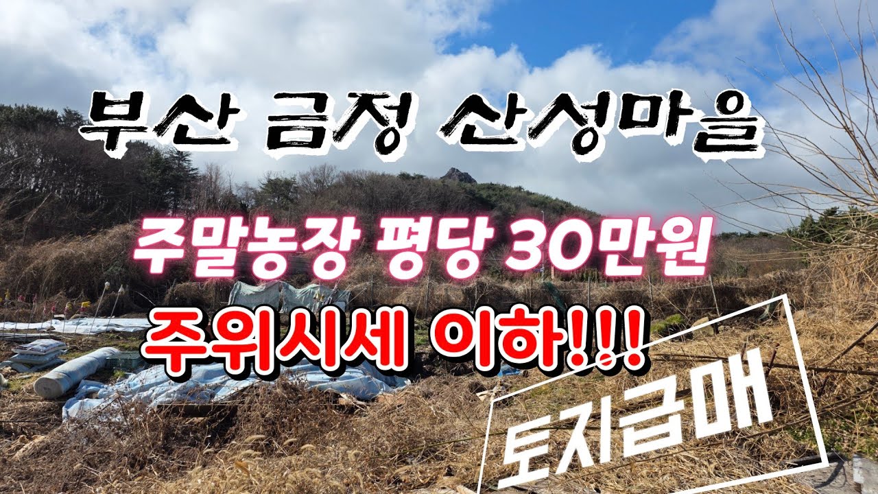 부산 금정구 금성동 자연녹지 평당 30만 완전 시세이하!!!