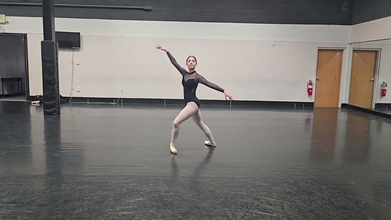 Rachel Visosky Ballet Idaho Company Audition