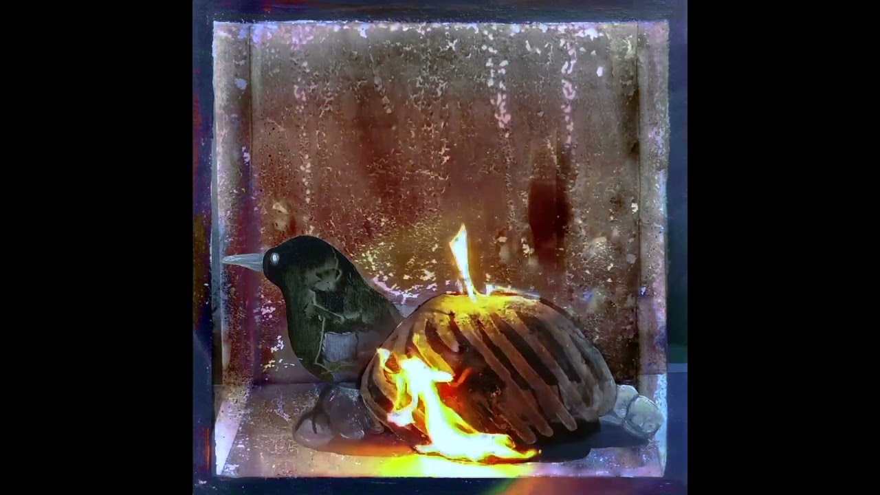 Burnt Crows Nest NFT collection
