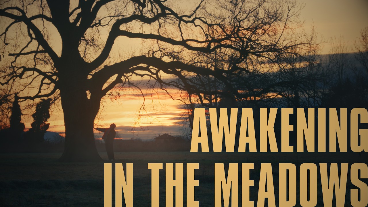 Awakening in the meadows - Aesthetic Poetry Film | Cinematic